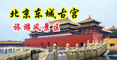 日本金沙厦门大黄操逼视频中国北京-东城古宫旅游风景区